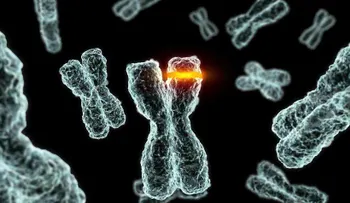 Una nueva tecnología web ayuda a detectar mutaciones cancerígenas
