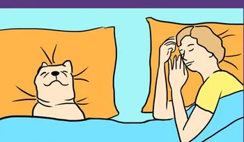 7 sorprendentes razones por las que tu perro debe dormir en tu cama