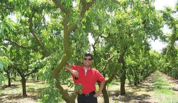 El creador de las alertas de Google ahora se dedica a cultivar almendras