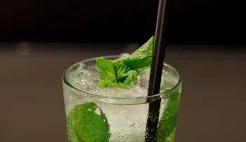 Consejos para preparar el mejor mojito de Miami (por Emilio Estefan)