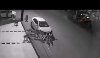 Una banda de perros se "come" un carro  (VIDEO)