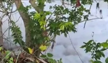 Arroceros de Dajabón alertan por espuma blanca en el río Masacre