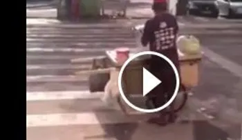 Si ves esta asquerosidad, no comerás nunca habichuelas con dulce en la calle (VIDEO)