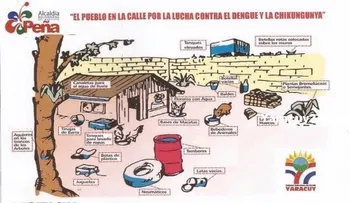 ¿Se puede prevenir la chikungunya?