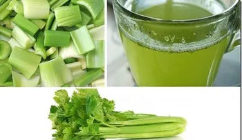 Te de apio, ideal para cualquier dieta de adelgazamiento 
