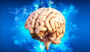 Sonidos y palabras se procesan en el cerebro por separado, según estudio