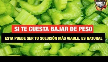 Prepara el Apio de esta forma y me lo agradecerás para siempre, porque cura la hepatitis, gastritis, asma, tiroides y pierde hasta 12 kilos por semana! 