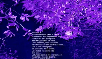 Rosas para el alma  ¡Como torbellino!
