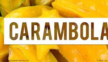 La carambola (tamarindo dulce, tiriguro, carambolero, tamarindo chino o cinco dedos), reduce el colesterol, cura la hipertensión y controla la diabetes