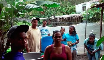 En cada hogar de RD hay un criadero de mosquito transmisor del dengue, chikungunjya y el zica; dice el Ministerio de Salud