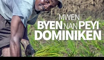 Me va muy bien en dominicana. Haitianos tienen en RD lo que su gobierno les niega