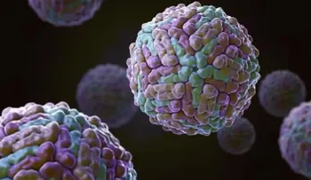 Infección con virus de dengue o Nilo Occidental puede aumentar efecto de zika