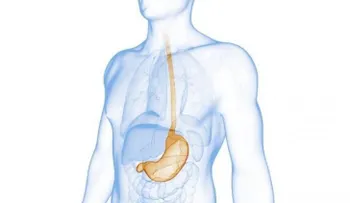 Prevención del Cáncer esofágico implica chequeos después de los 40