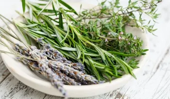 Tres tazas de té de tomillo al día para acabar con el acné