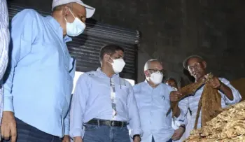 Impulsan cultivo de tabaco en la región Suroeste; inicia siembra de cuatro mil tareas