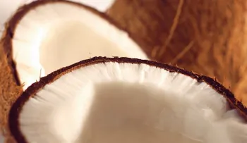 El coco protege al cuerpo contra el cáncer y la osteoporosis; es beneficioso para el corazón, la piel y el cabello