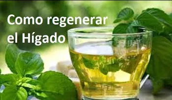 Como cuidar y regenerar el hígado con remedios simples (VIDEO)