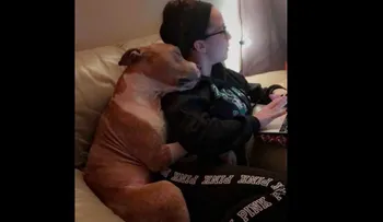 Conmovedora foto de un perro adoptado que abraza a su dueña se vuelve viral
