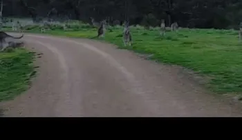Hacía una ruta en bicicleta y se  se encontró con una escena asombrosa (VIDEO)