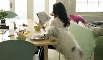 Nunca compartas estos alimentos con tu perro