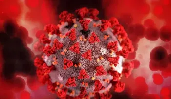 Descubren cinco compuestos que inhiben la proteína que replica el SARS-CoV-2