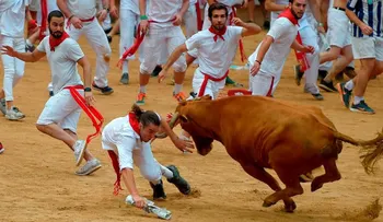 Al menos nueve heridos en los encierros de toros en San Fermín, en Pamplona, España