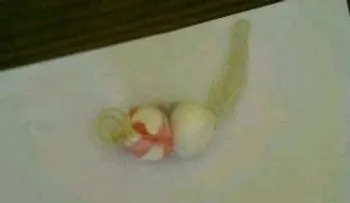 Mujer intenta llevar droga a cárcel dentro de su vagina