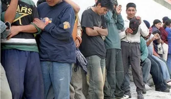 EE.UU. sopesó usar Guardia Nacional en redadas de inmigrantes 