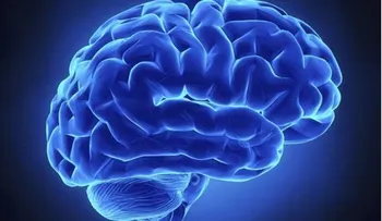 Hallan una nueva forma de transportar eficazmente fármacos al cerebro