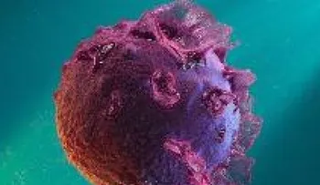 Mitos y verdades sobre la mononucleosis 