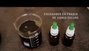  Preparación de aceite medicinal de Cannabis 