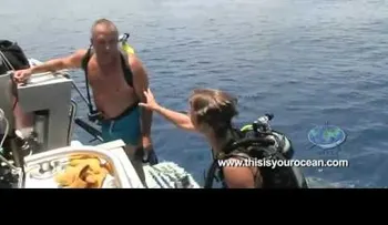 Esta ballena le da tremendo susto a esta chica