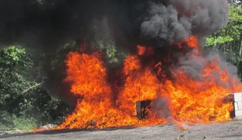Procuraduría incinera 115 kilogramos de drogas decomisados en varias zonas del país