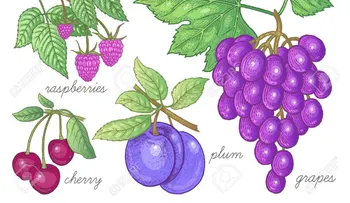 Las uvas, cerezas, frutos secos, arándalos y otros alimentos que tienen anticoagulantes aumentarían posibilidad de vida de pacientes graves de coronavirus