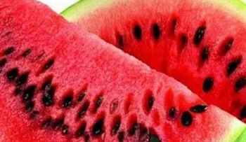 Descubre por qué las semillas de patilla podrían ser saludables