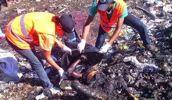 Nadie reclama mujer extranjera asesinada en Puerto Plata