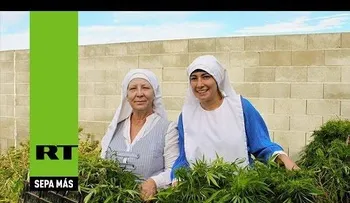 Unas monjas quieren curar al mundo con marihuana (VIDEO)