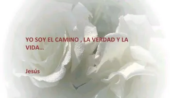 Rosas para el alma  Yo soy.