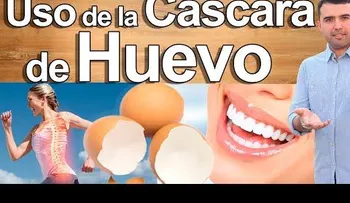 La cáscara de huevo y su imperdible uso