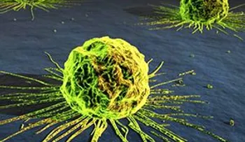 Uno de cada seis cánceres está causado por bacterias y virus