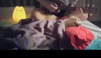 Conmovedora escena: Le canta a su gato antes de morir 