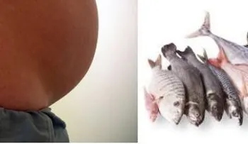Embarazadas consumen pescado tienen hijos con 6 puntos de inteligencia superior 