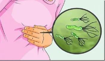 El mejor tratamiento para tener un estómago libre de la bacteria Helicobacter Pylori