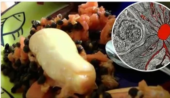 Como preparar un jarabe de semillas de lechosa que mata cualquier parasito intestinal