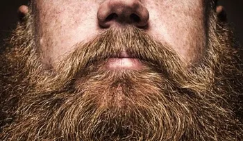 Las barbas acumulan una gran cantidad de bacterias