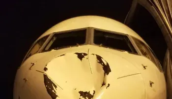 El avión que llevaba al Thunder choca con pájaro en pleno vuelo 
