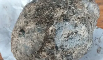 Biólogo explica los requisitos CITES para exportar ámbar gris o 'vómito de ballena' hallado en costas dominicanas