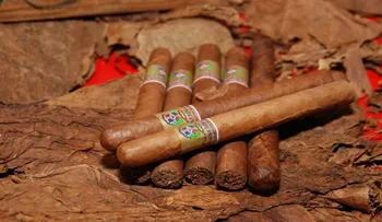 El tabaco dominicano generó US$850,000 millones entre enero y agosto 2021