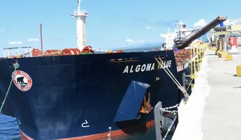Punta Catalina recibe 60,000 toneladas de carbón procedentes de Colombia