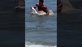 Un hombre atrapa un tiburón a manos limpias